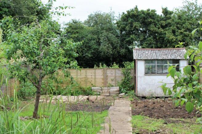 Garden 4