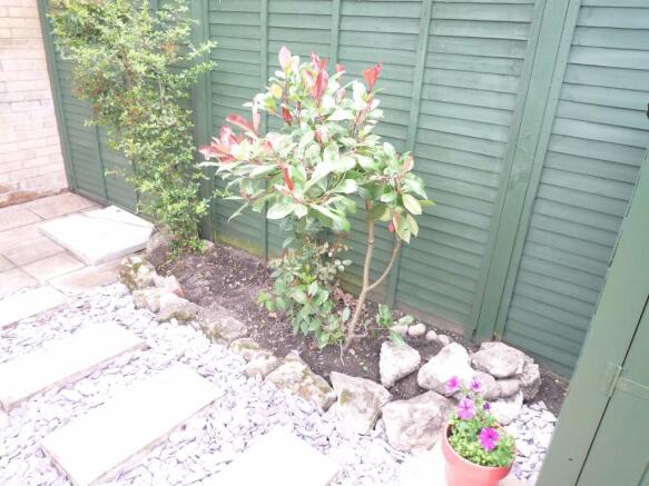 Photo 10