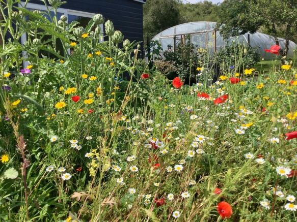 Grounds towards the polytunnel
