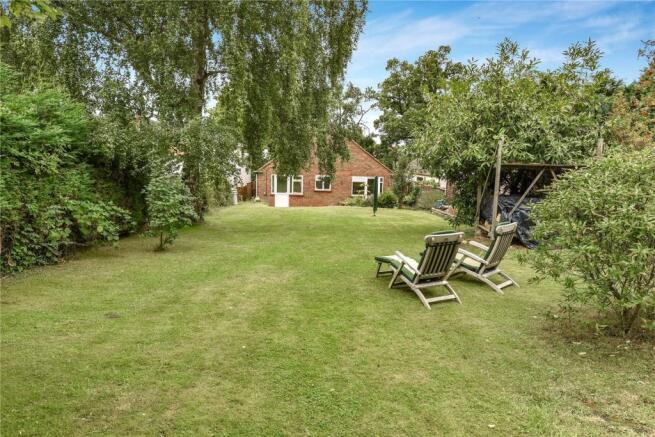 Back Garden