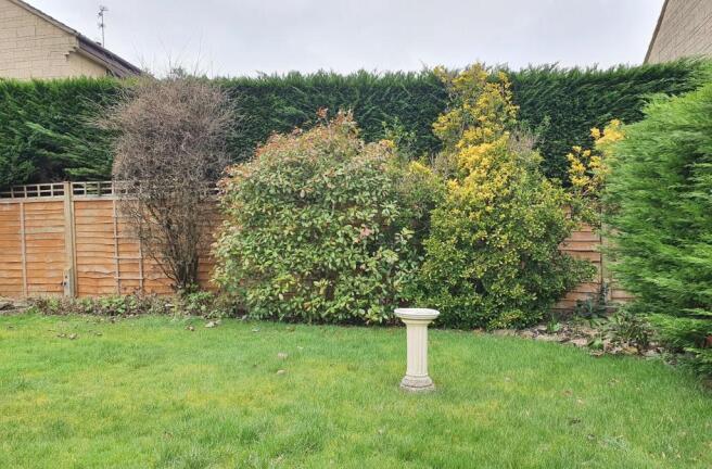 Photo 15