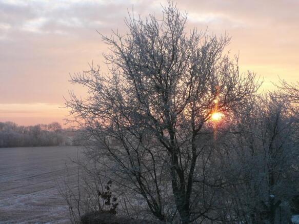 Image 15
