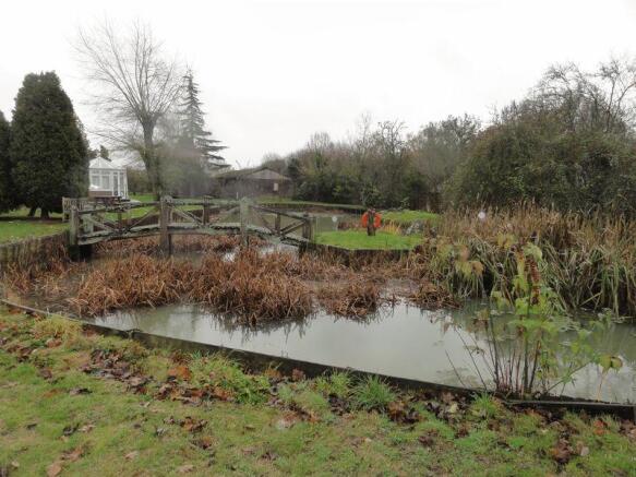 Pond