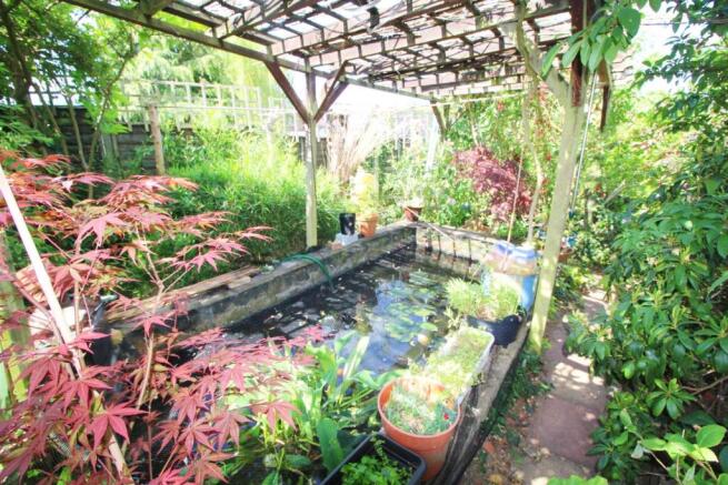 pond.jpg