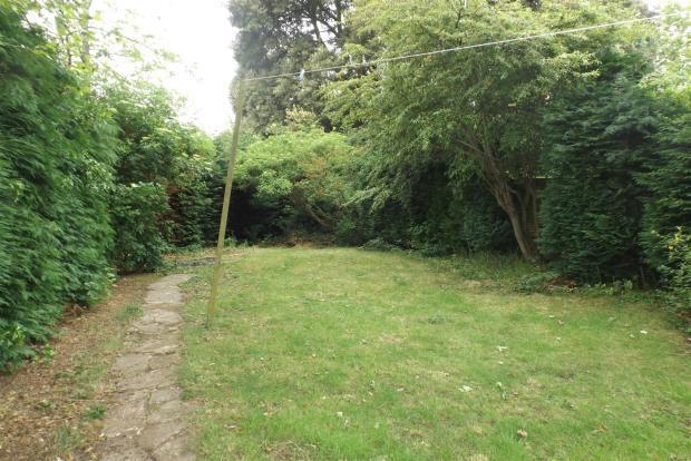 Back Garden