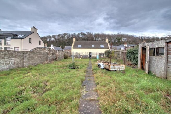 Back garden