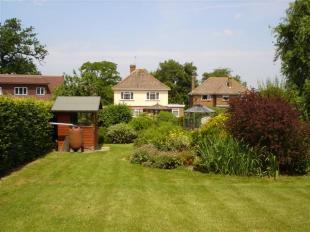 View to House