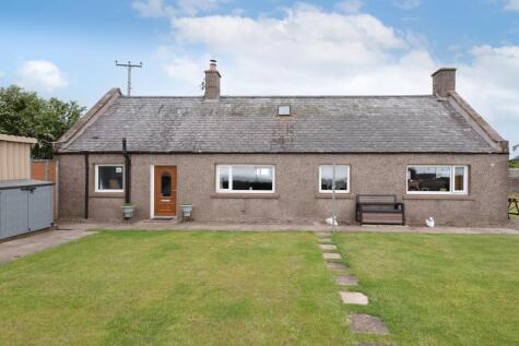 Muir of Lunan, Montrose, DD10
