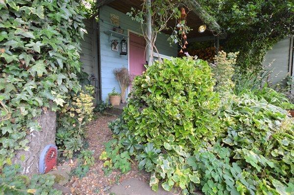 garden