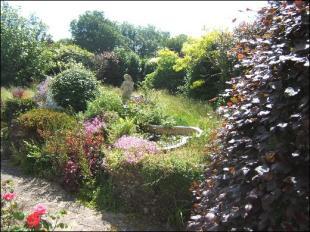 Garden 1
