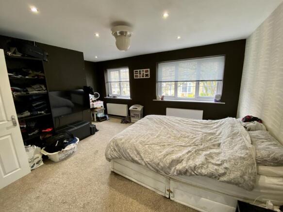 Picture 5