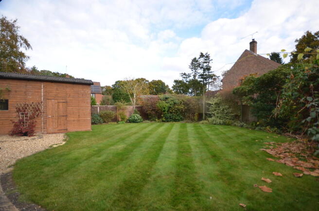 Photo 11