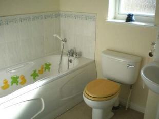 Picture 4
