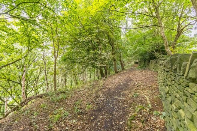 Woodland