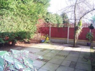 Patio Area