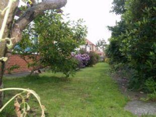 Side Garden