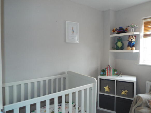 Photo 11