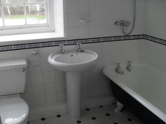 Photo 5