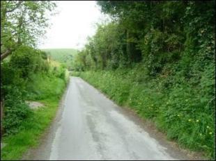 Lane