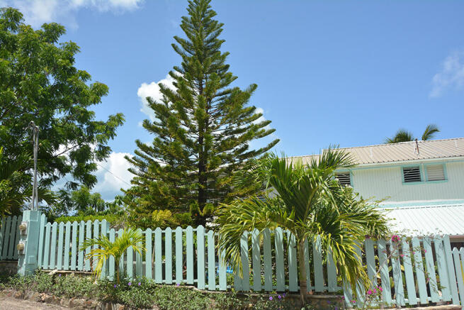 entrance view 