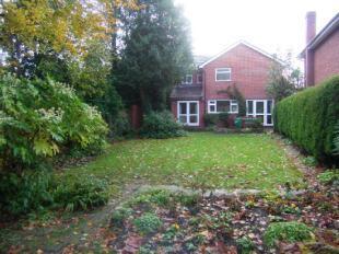 Garden3