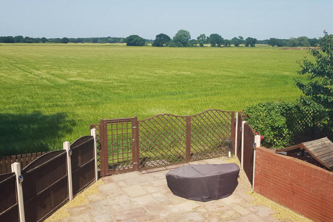 Summertime View