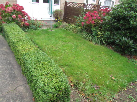 Photo 12