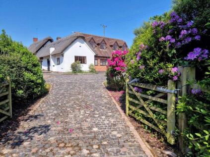 Moat Lane, Wolvey