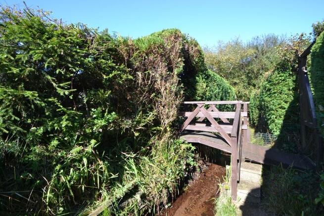 forest access