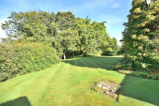 Garden Photo