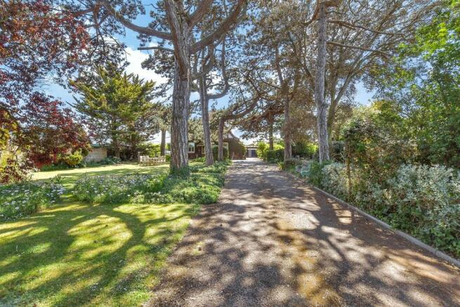 Driveway/Parking