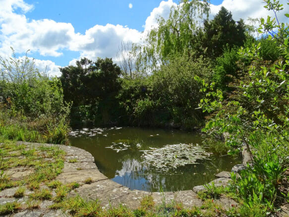 Photo 22