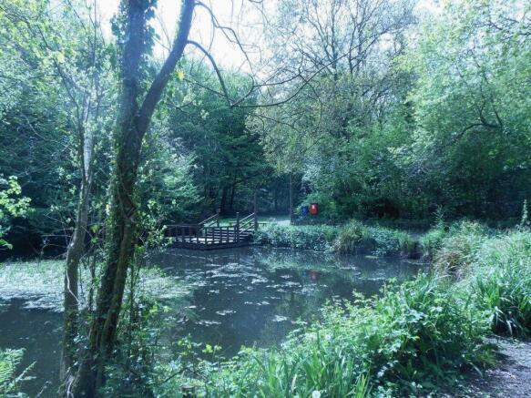 Nearby lake