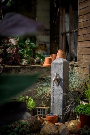 Photo 31