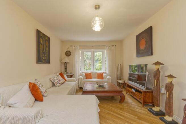 Living Room 1
