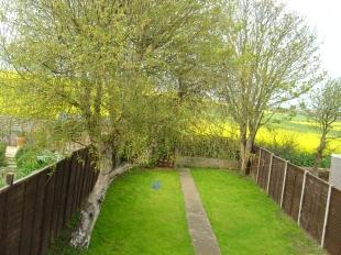 Rear Garden 2