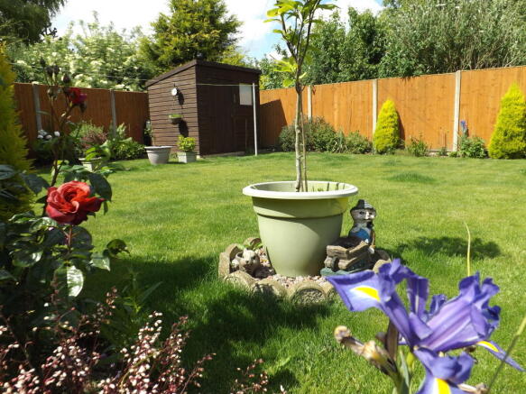 Photo 11