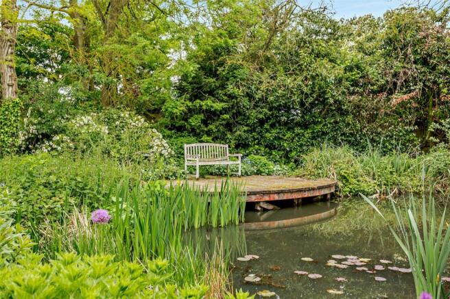 Pond