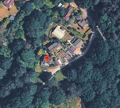 South View Woods.jpg