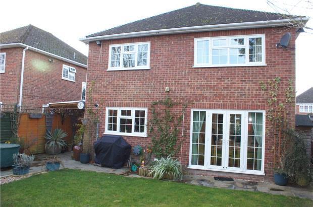 Rear Elevation