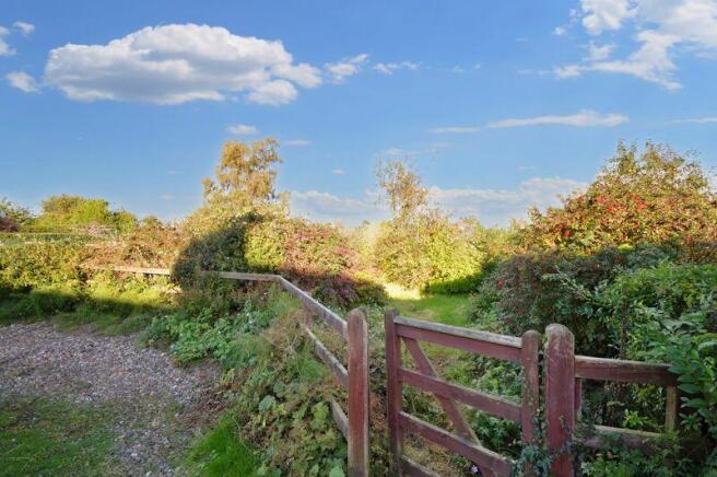 Rear garden over the lane