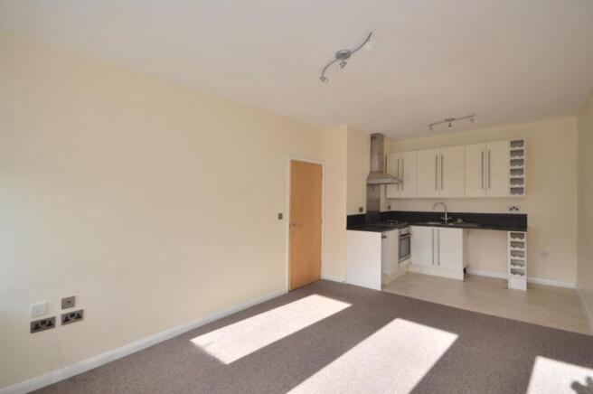Open Plan Kitchen/Living Room