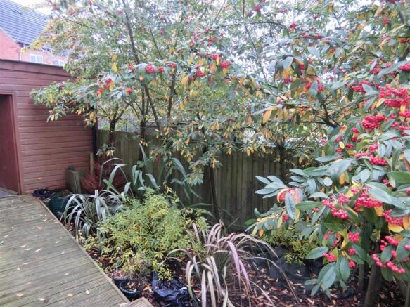 Side Garden
