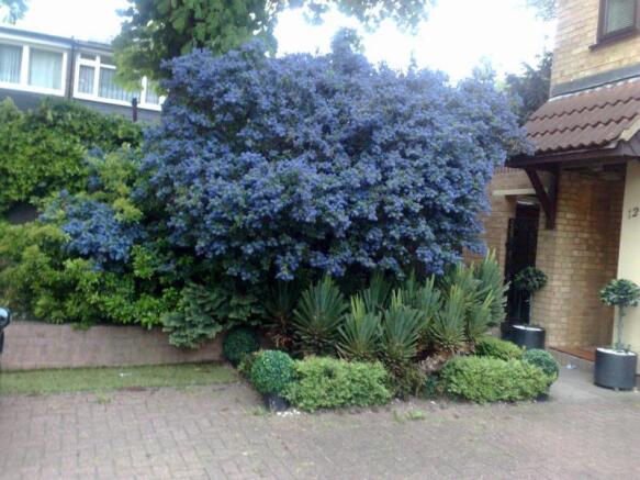Photo 25