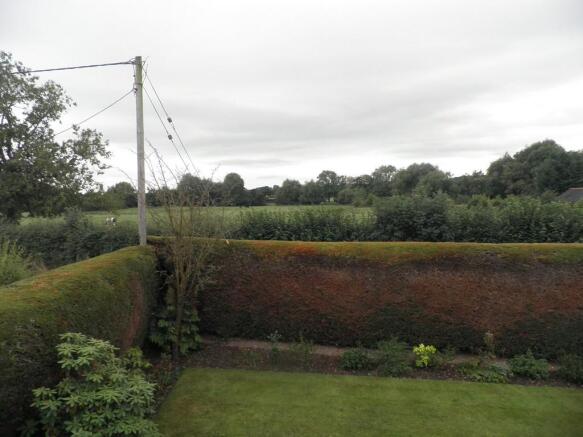 View from Bedroom...