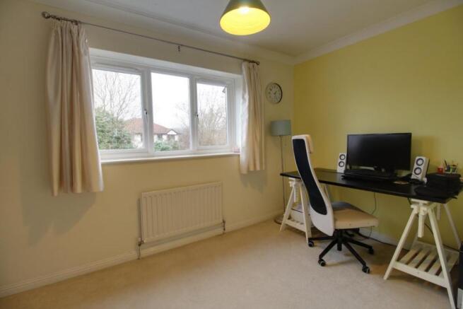 Picture 8
