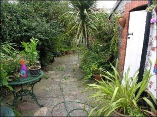 Pretty garden
