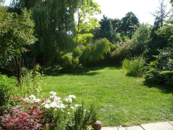 Photo 6