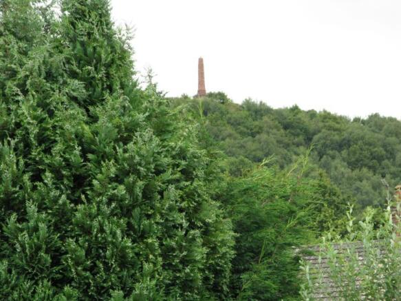 Image 12