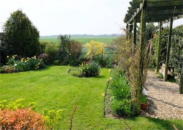 Another view of the garden